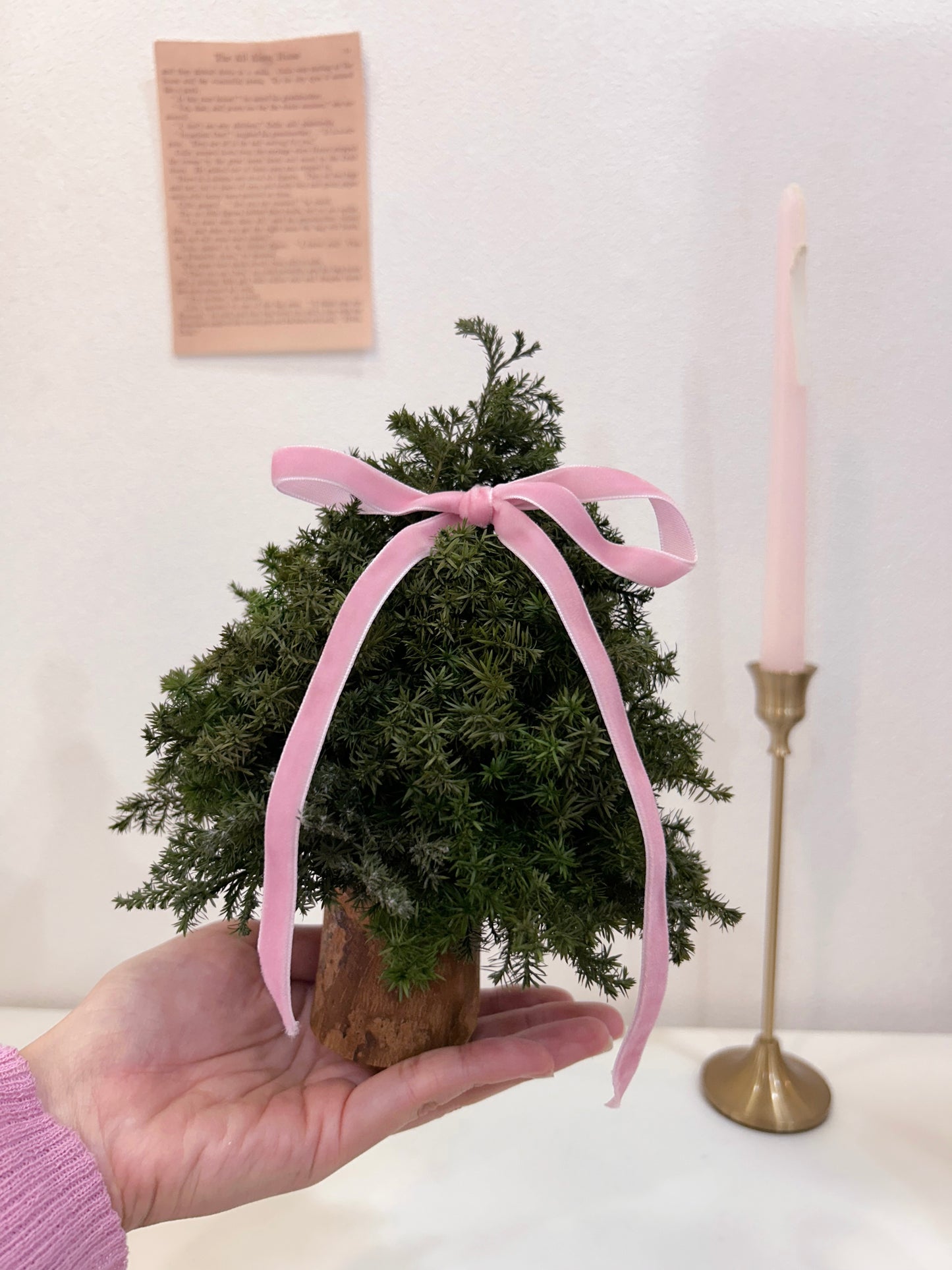 So mini|迷你永生聖誕樹