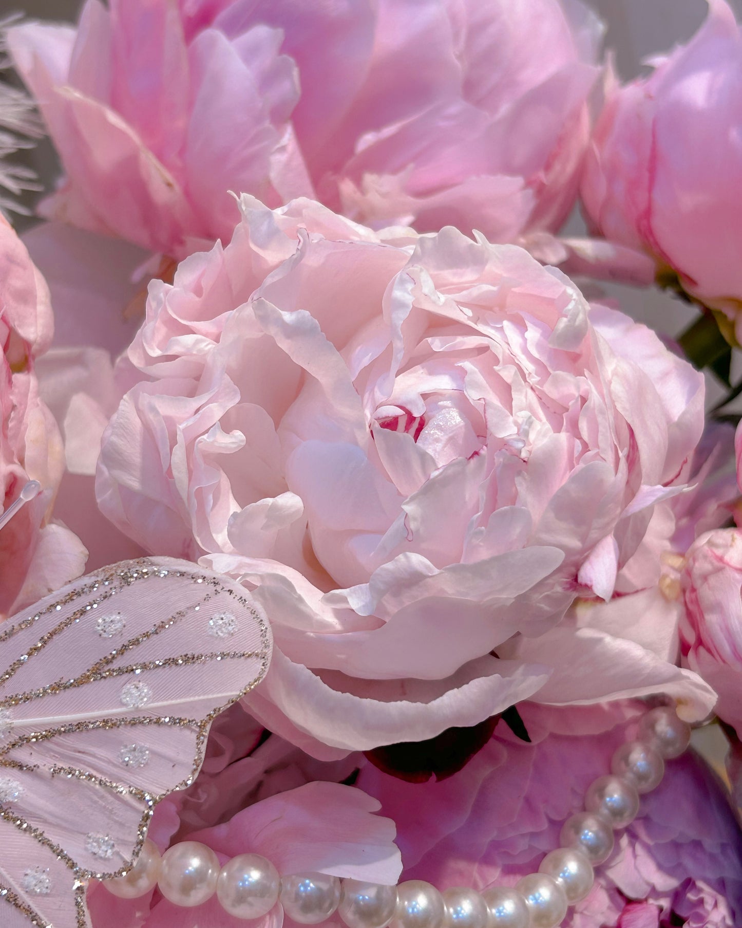 Fancy peony｜進口粉色芍藥蝴蝶結羽毛鮮花桌花