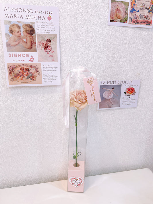 母親節花禮 ｜
單支美國康乃馨鮮花