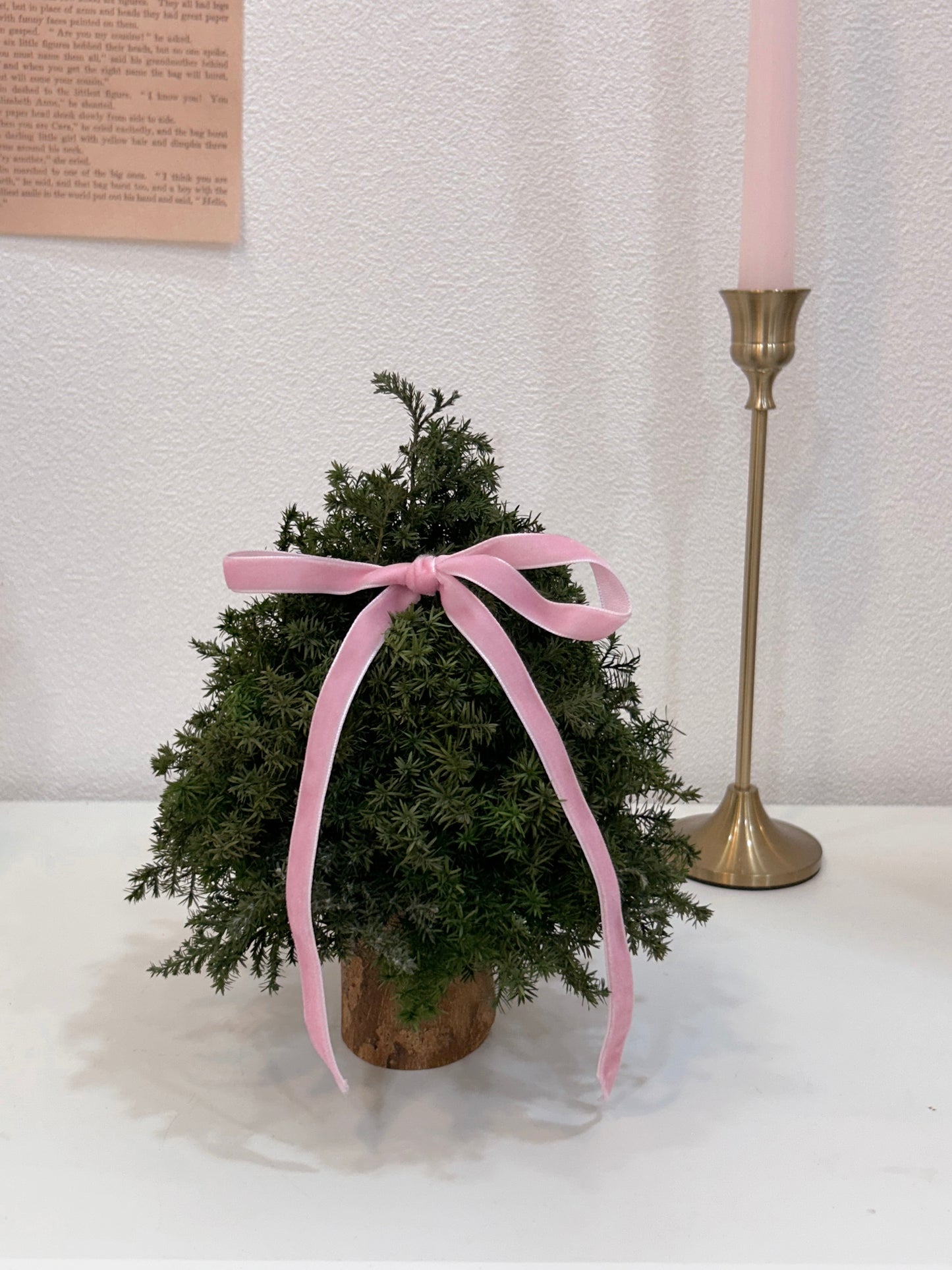 So mini｜迷你永生聖誕樹