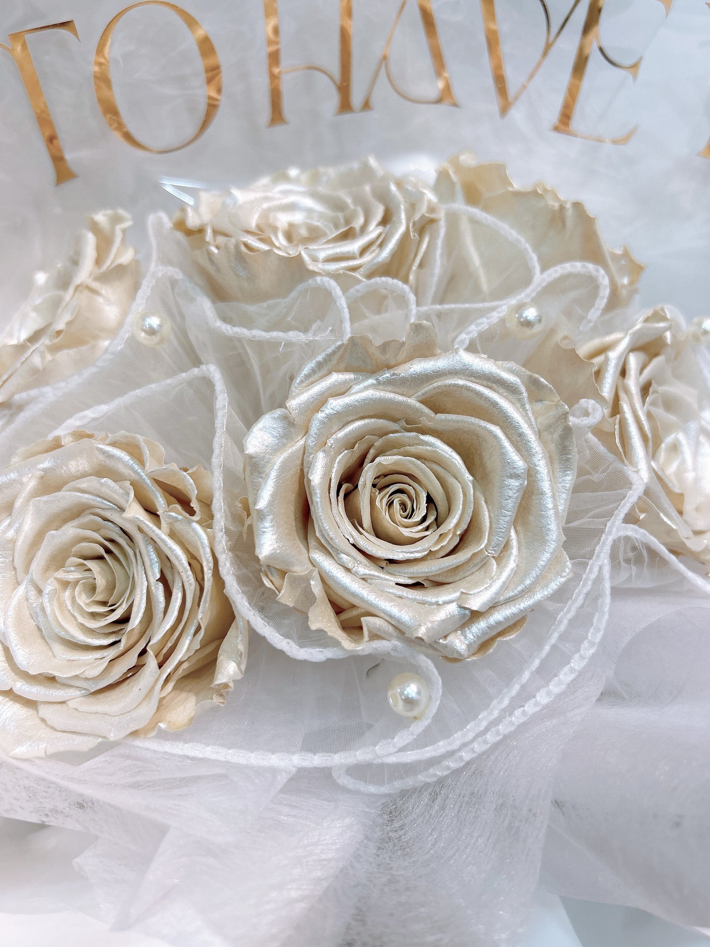 White pearl | 珍珠白永生花